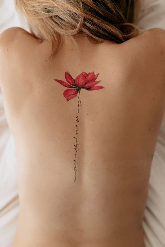 Colorful lotuses (SP-656)