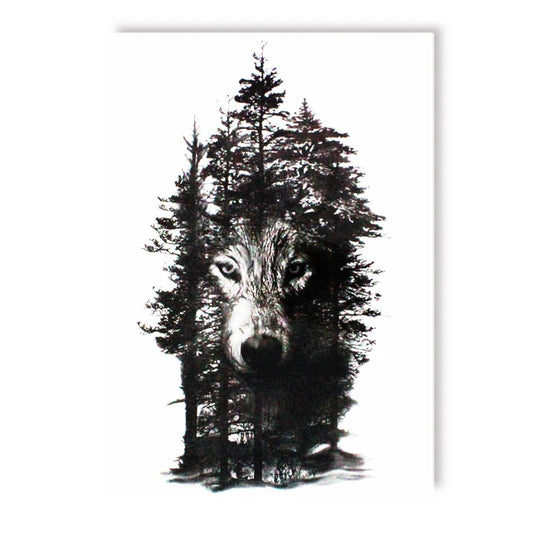 Wolf in the shade of the forest (SP-574)
