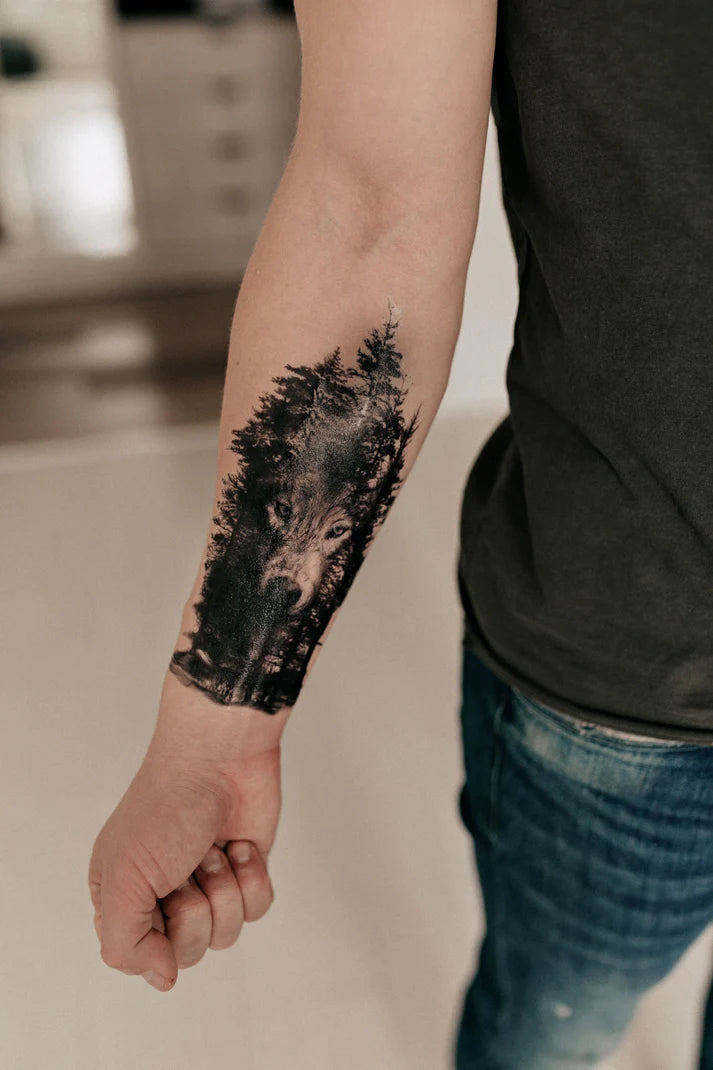 Wolf in the shade of the forest (SP-574)