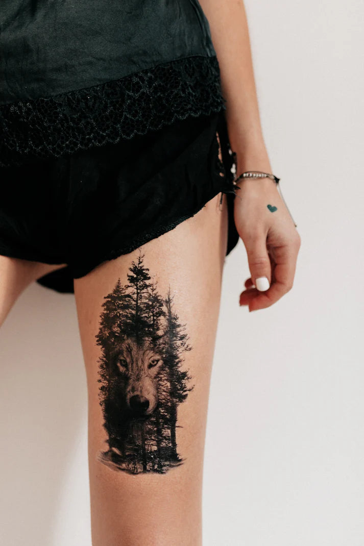 Wolf in the shade of the forest (SP-574)