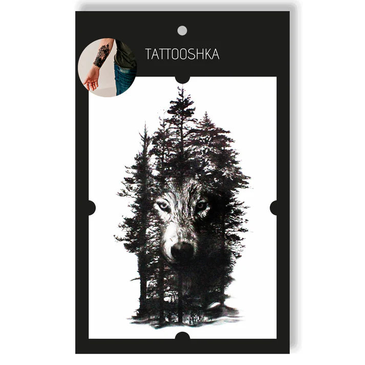 Wolf in the shade of the forest (SP-574)