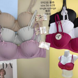 Daily wear Pushup padded wire Bra